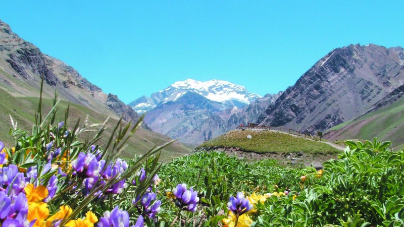 Over Andesfjellene til Mendoza